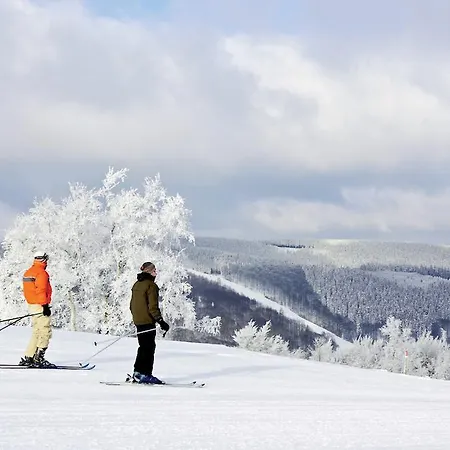 Apartment Central ヴィリンゲン