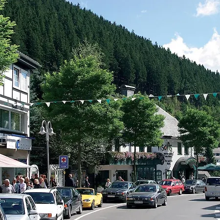 中央公寓 维林根