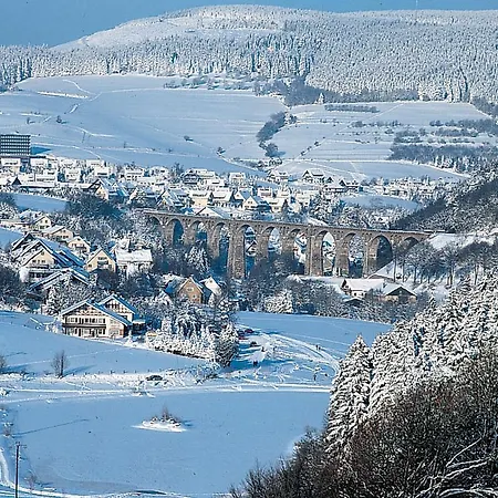 中央公寓 维林根